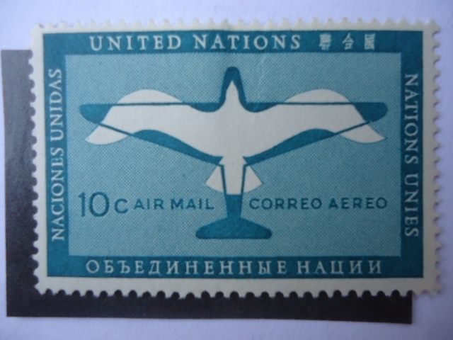 Plane and Gull - Avión y Gabiota
