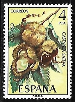Flora - Castaño