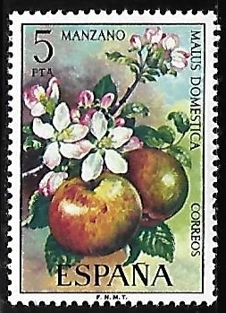 Flora - Manzano