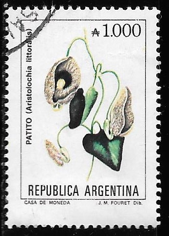 Argentina-cambio