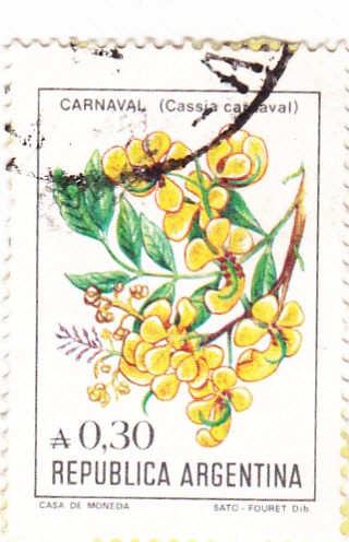 FLORES- CARNAVAL 