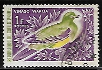 Bruce's Green-Pigeon ' paloma