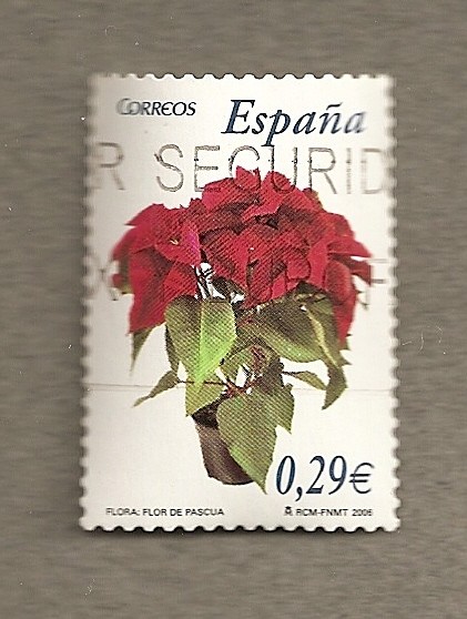 Flor de Pascua
