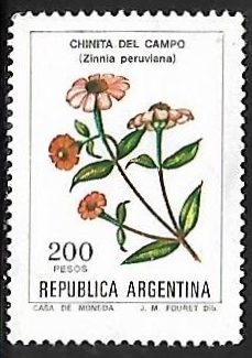 Chinita del campo