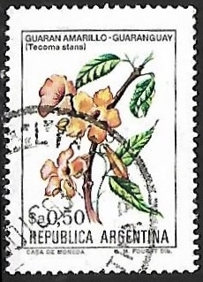 Guaran Amarillo