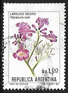 Lapacho Negro