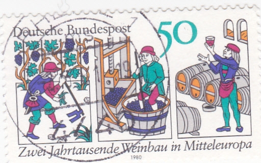 PROCESO VINICOLA