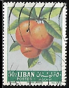 Citrus sinensis