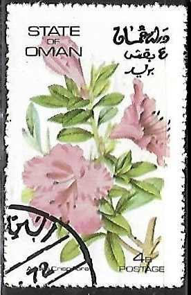 Flores
