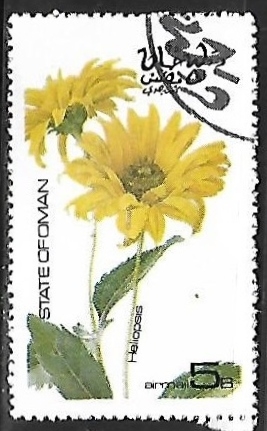 Heliopsis