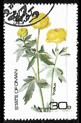 Trollius