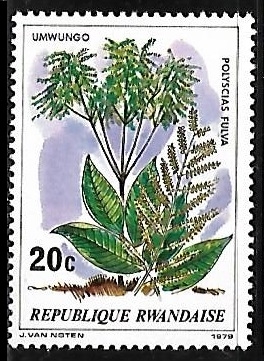 Polycias Fulva