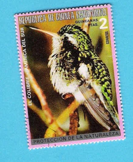 EL COLIBRI