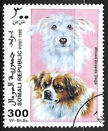 Perros