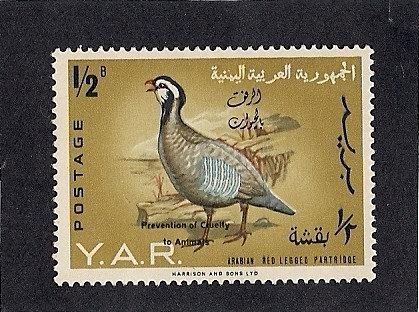Aves