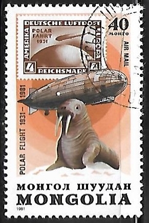Walrus