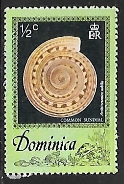 Common Sundial 