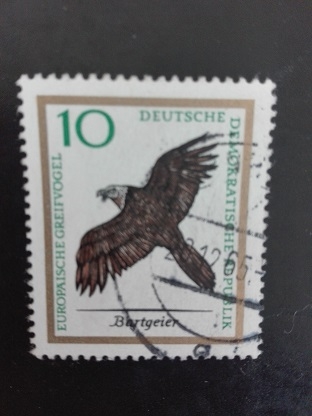 Aves Rapiñas
