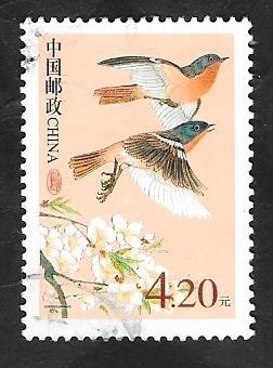 3983 - Dos aves volando