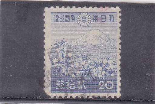 MONTE FUJI