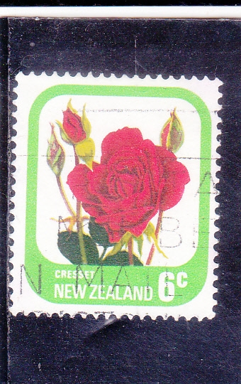 FLORES- ROSA ROJA