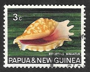 Caracola strombus sinuatus