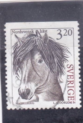 CABALLO