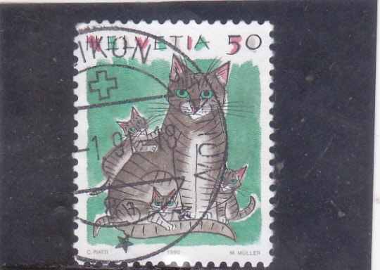 ILUSTRACIÓN GATOS