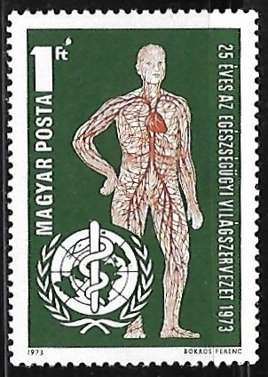 Organización Mundial de la Salud