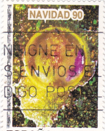 NAVIDAD-90 Poema cósmico (35)