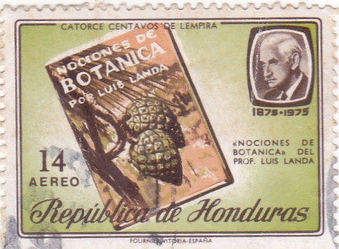 NOCIONES DE BOTANICA PRF. LUIS LANDA 