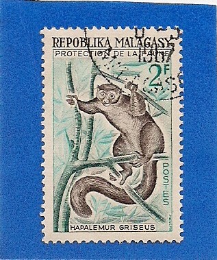 proteccion de la fauna