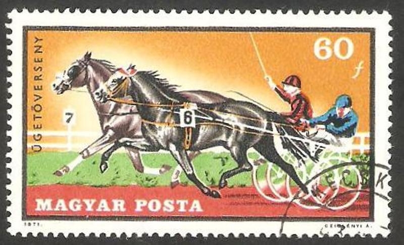 2193 - Carrera a trote