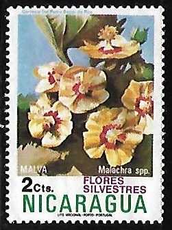 Malva