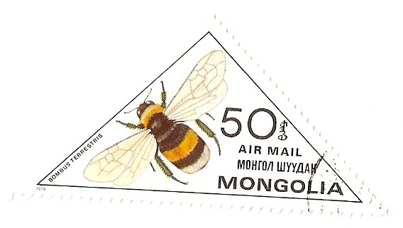 Insectos. Correo aereo. Abeja,