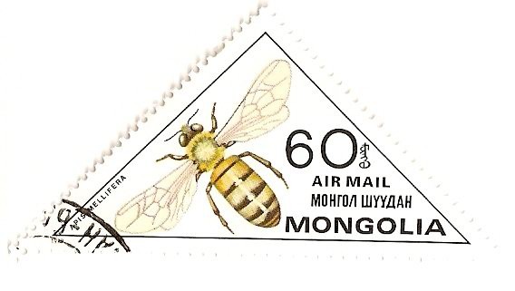 Insectos. Correo aereo. Abeja.