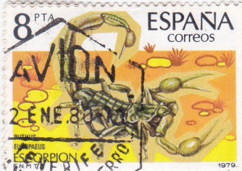 ESCORPION (36)