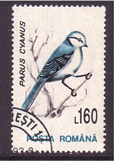 serie- Fauna local