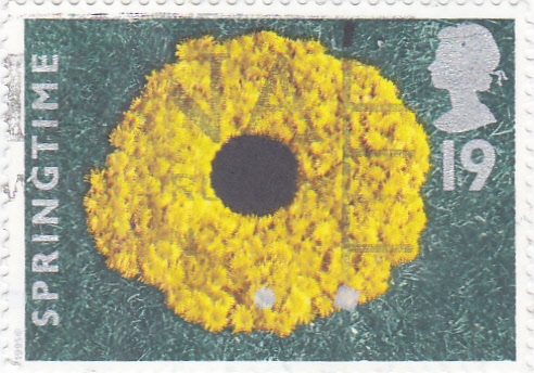 FLORES- springtime