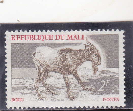 bouc