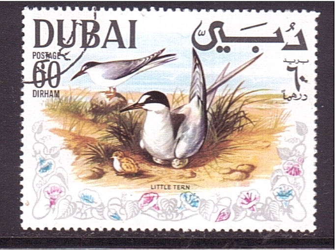 serie- Aves