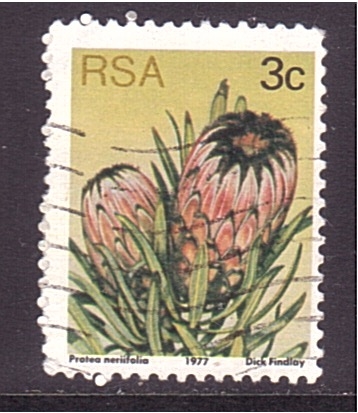 serie- Plantas