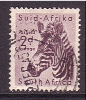 serie- Animales africanos