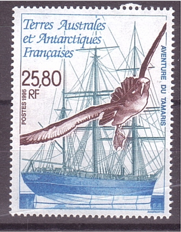 Aventura del Tamaris