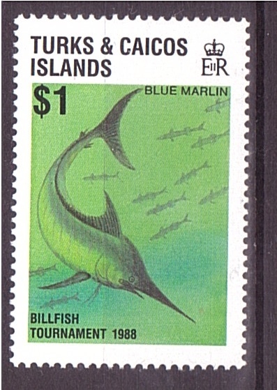 serie- Billfish tournament