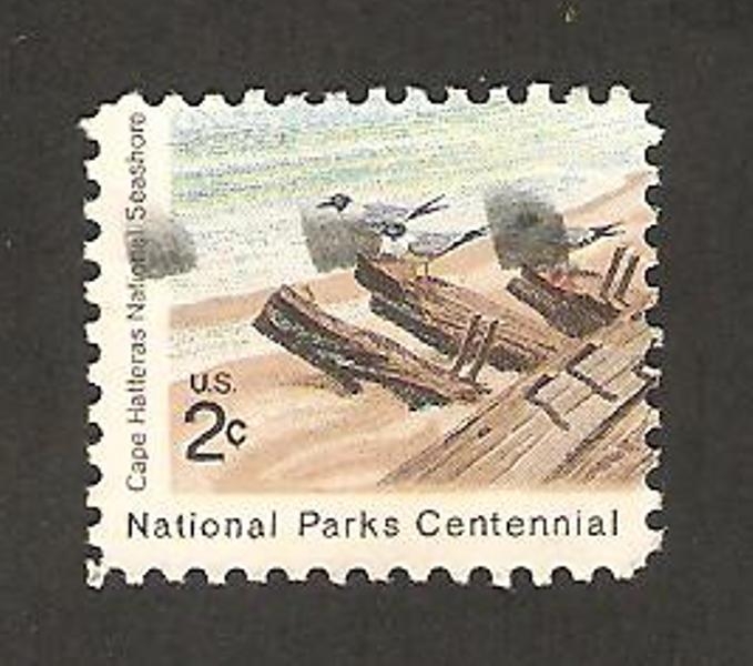 950 -- Centº de los Parques Nacionales, Costa de Cabo Hatteras