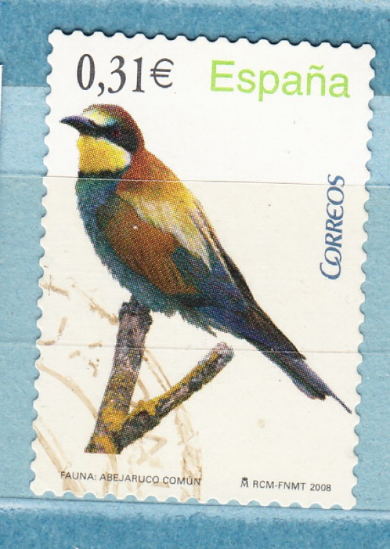 Abejaruco (1069)