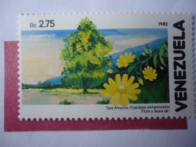 Tara Amarilla (Oyedaea verbesinoides) Flora y Fauna de Venezuela 1982.