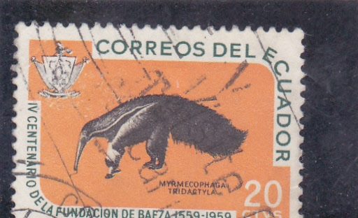 OSO HORMIGUERO 