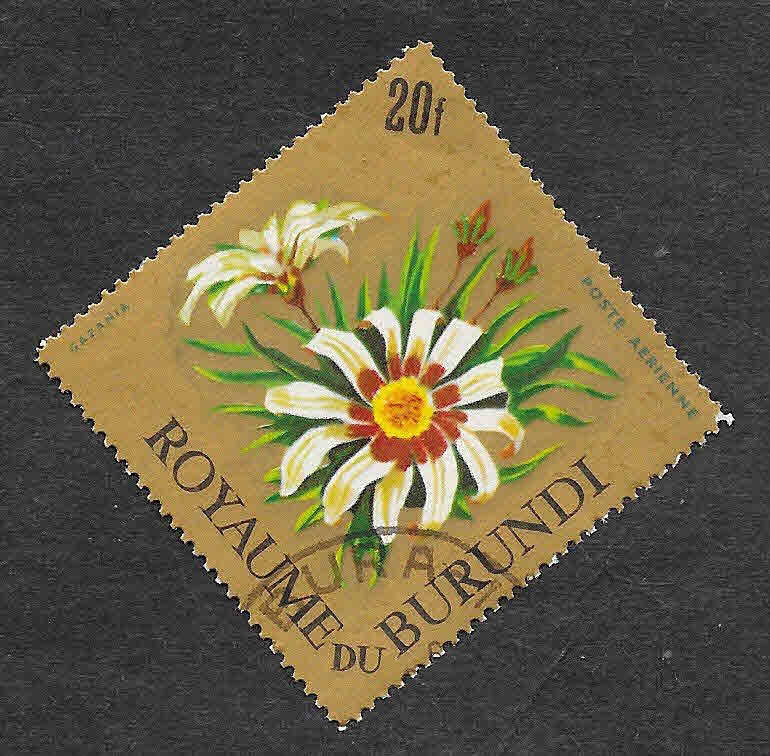 C22 - Gazania
